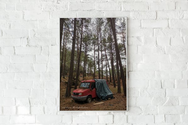 Pine Trees and a red van high quality 2